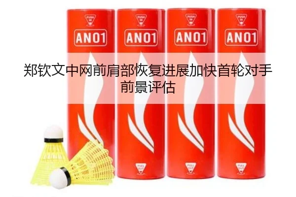 郑钦文中网前肩部恢复进展加快首轮对手前景评估